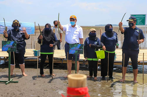 Program Padat Karya Mangrove Untuk Pemulihan Ekonomi Nasional